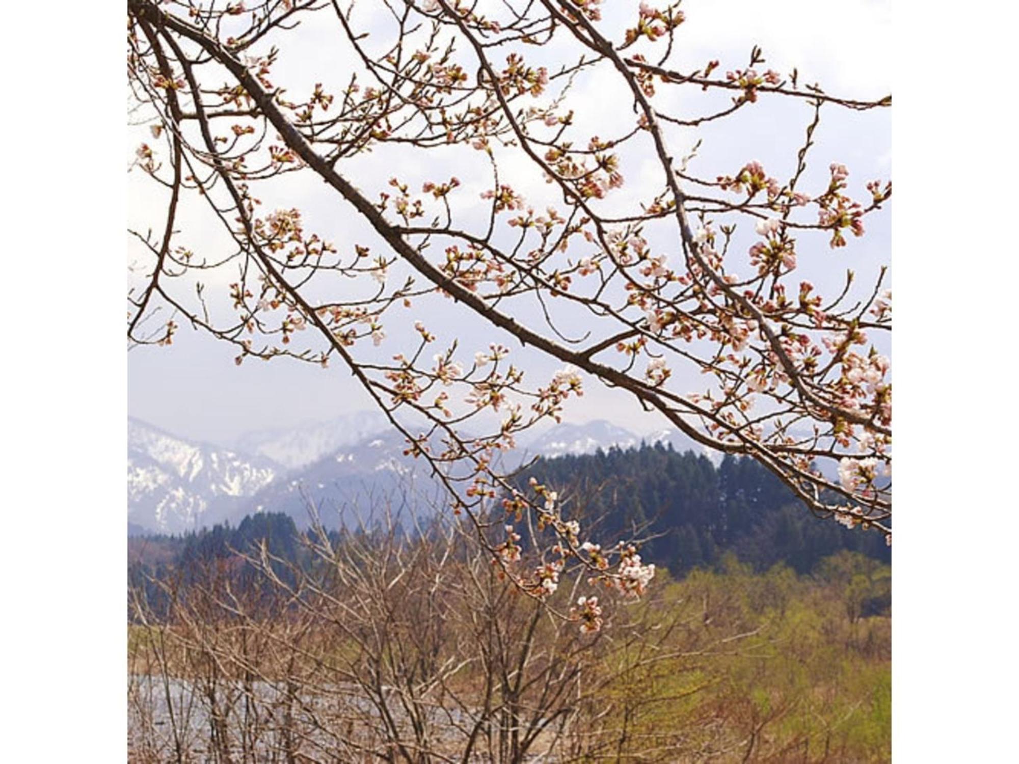 Shintainai Onsen Royal Tainai Park Hotel - Vacation Stay 90212V Εξωτερικό φωτογραφία