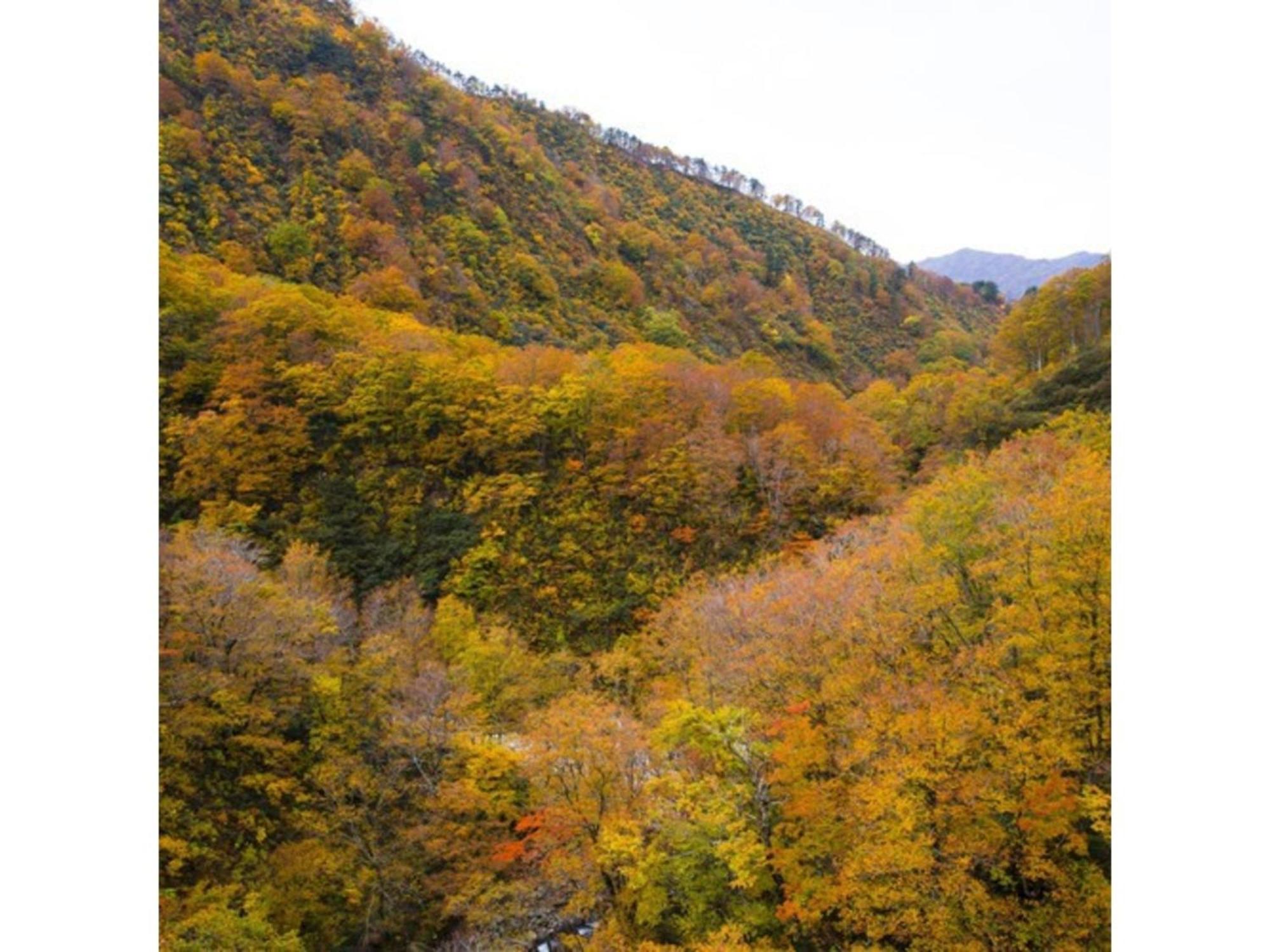 Shintainai Onsen Royal Tainai Park Hotel - Vacation Stay 90212V Εξωτερικό φωτογραφία
